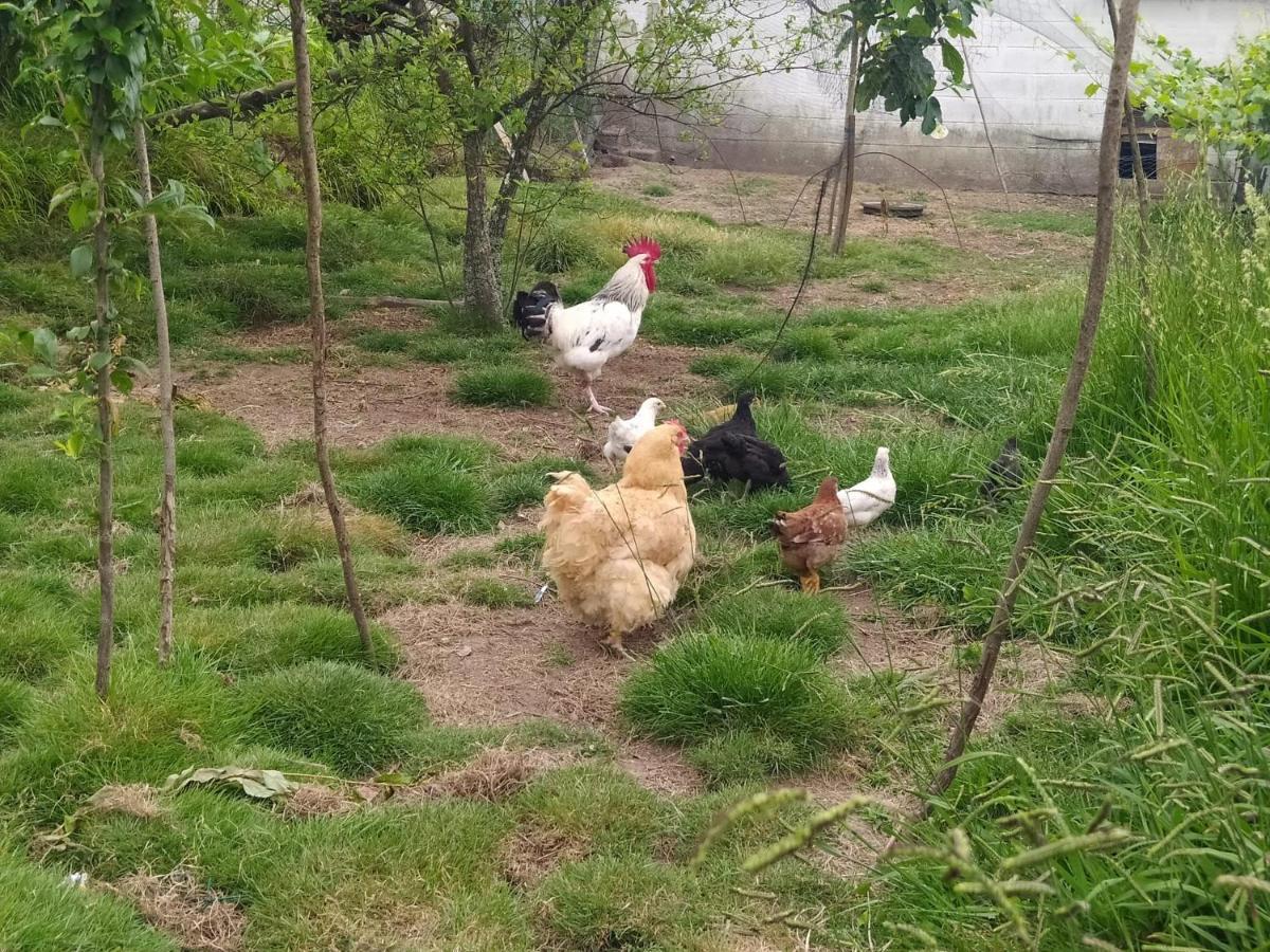 Casa Rural Area Con Piscina Gondomar Εξωτερικό φωτογραφία